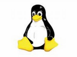 De VERON ICT-Commissie is Linux minded
