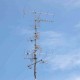 mast met heel veel antennes