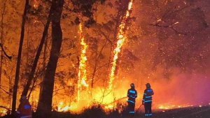 Bosbranden Australië