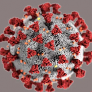 Corona virus